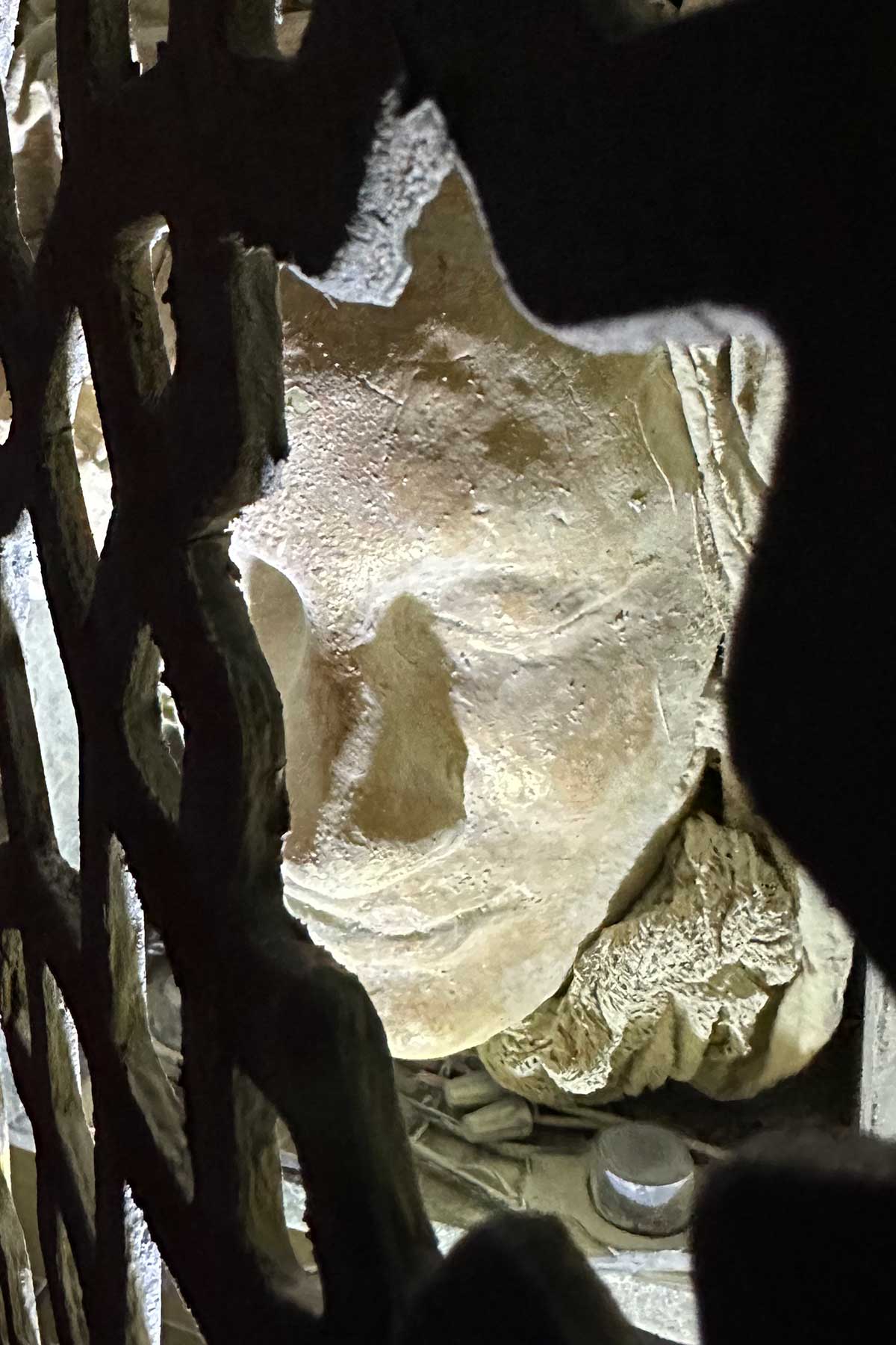 Pale face cast seen through a dark lattice screen